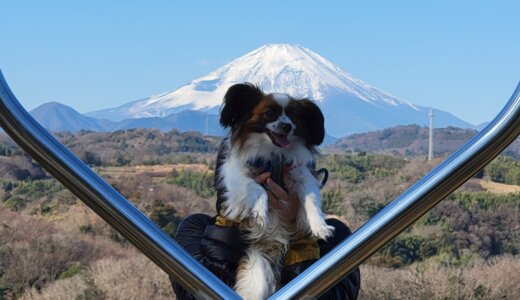 下のソーシャルリンクからフォロー