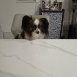 引っ越し