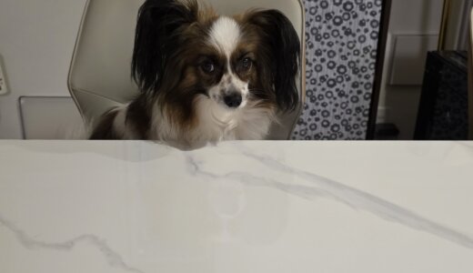 下のソーシャルリンクからフォロー