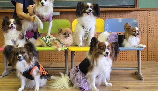 下のソーシャルリンクからフォロー