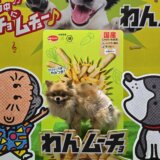 インターペット東京2026