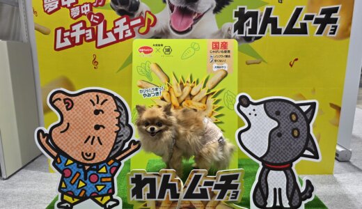 下のソーシャルリンクからフォロー