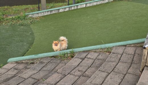 下のソーシャルリンクからフォロー