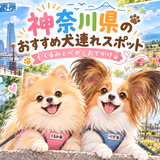 くるみとベガと行く、神奈川県のおすすめ犬連れスポット