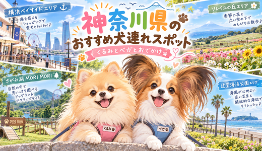 下のソーシャルリンクからフォロー