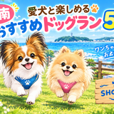 【湘南】愛犬と楽しめるおすすめドッグラン5選！ワンちゃんとお出かけしよう🐶
